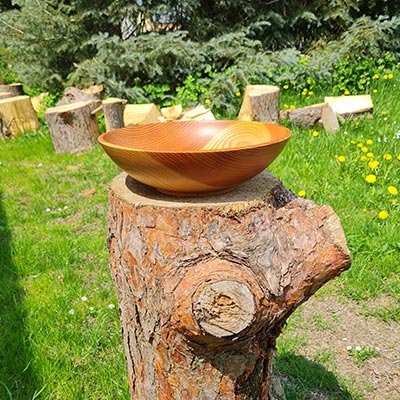 Gallery Item 1